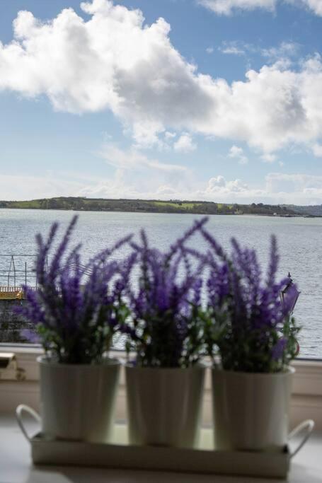 Unit 2 Island View Apartments With Stunning Harbour View Cobh Dış mekan fotoğraf